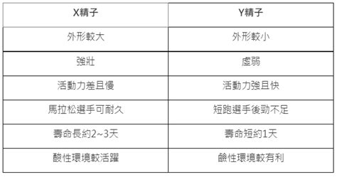 生男|生男生女精子是關鍵！醫師：性行為時試試這樣做｜親子天